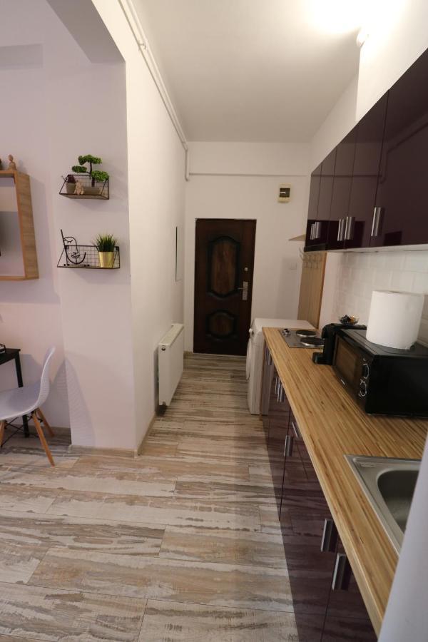 Appartamento Charming Cozy Studio - Old Town - Free Minibar Bucarest Esterno foto
